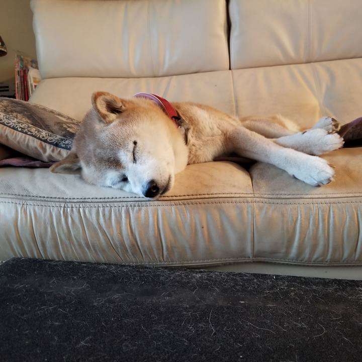 890a4e65 5779 4629 8365 c1650e55afe4 1763593481762