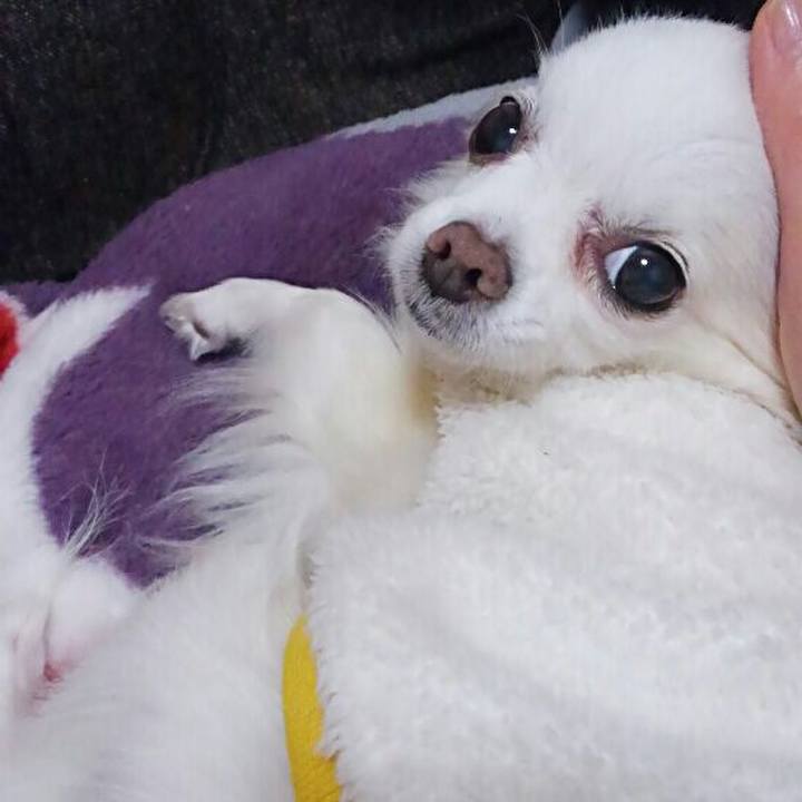 890a5f7a 8fe8 46ac bd26 5488c93d7866 1552472672044