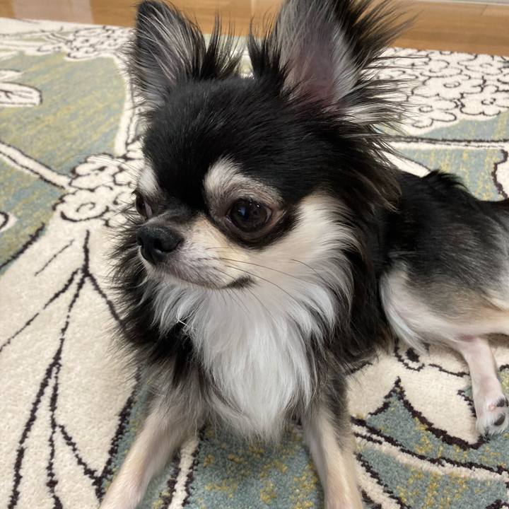 890a6b86 603d 477d 916c 5a35df1ec914 1625285535919