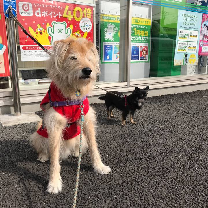 890a86ce 2115 4eae a7c9 f00c337baa63 1581071666392