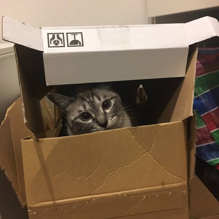 890a9392 83e0 4ac4 bb5d ef9c9ca32781 1589885466331