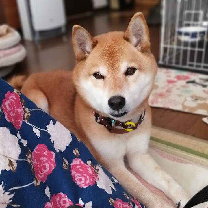 890a9ae8 f3ab 4cb2 8d50 dea2f86ff781 1645079538929