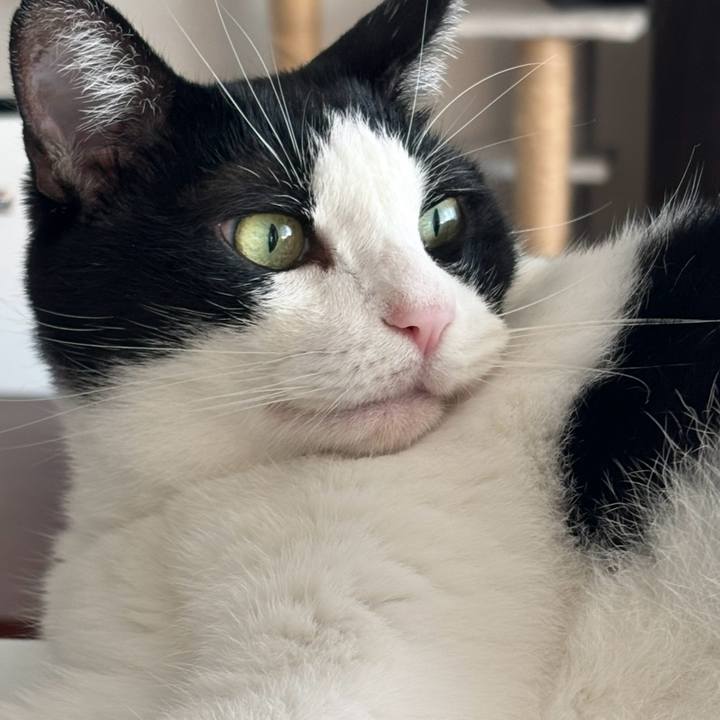 890aa7bf 518b 4434 9ade 4d9884b59397 1758409783718