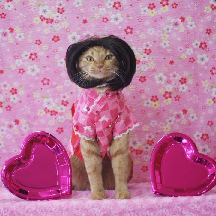 890ab5a0 3a31 441f b264 c71fbbf14a28 1646139930402