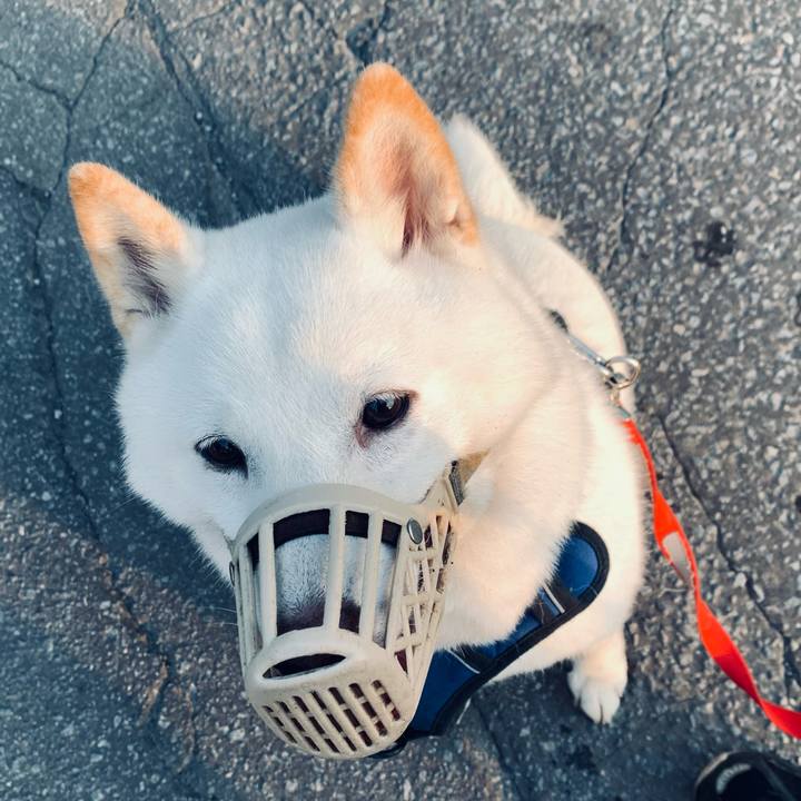 890adf82 bec2 4fe7 8b5d 75546457cd60 1630792585747