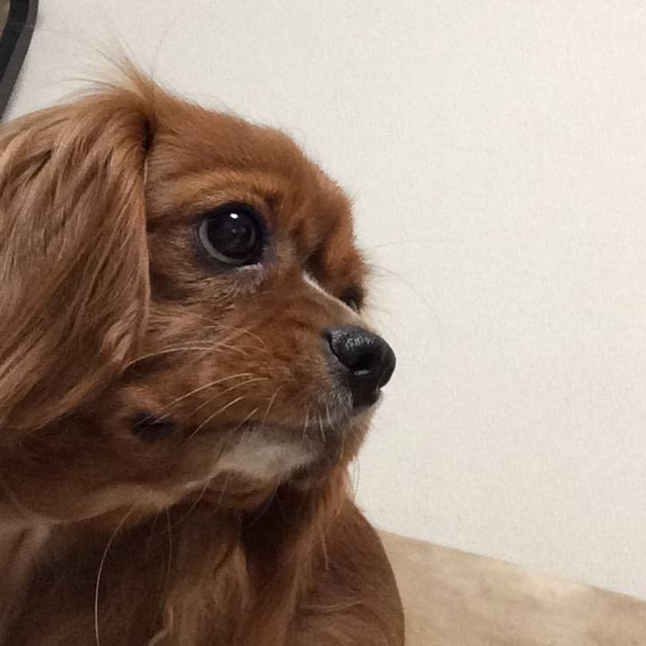 890ae588 5fb2 4f96 977b 025972e54bc1 1516226683061