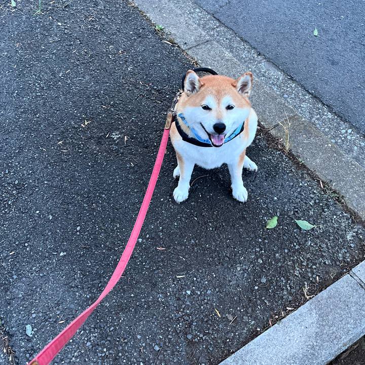 890aeeb4 bcf5 4899 873c a13777da37cf 1690975296450