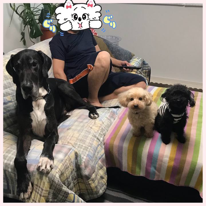 890b10f7 897d 4cb7 92fd 6136d41486d7 1529274897391