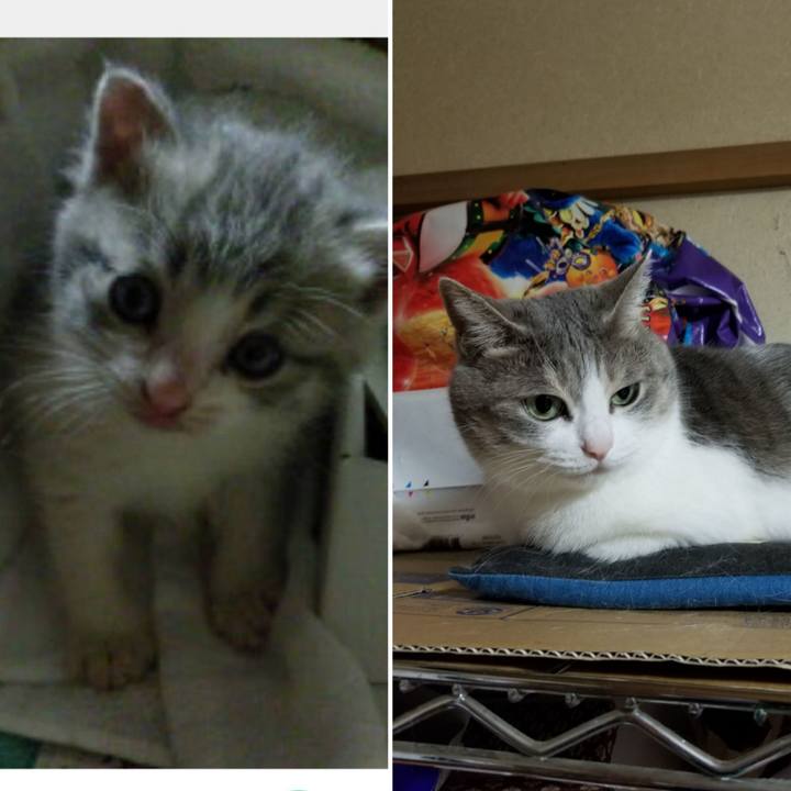 890b197e 6f67 4678 96dc c82f05983736 1602856101063