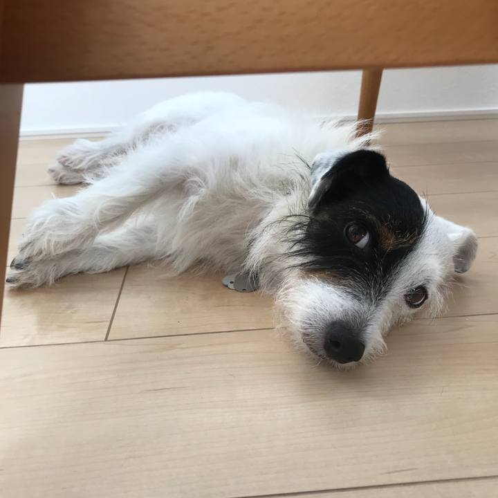 890b4d17 4b20 4299 9853 7585f16fcda2 1533165990973