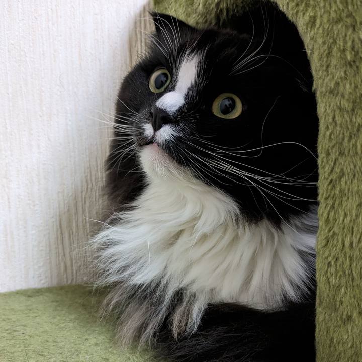 890b7363 1919 4a97 b172 f606e03cda3a 1710064922835