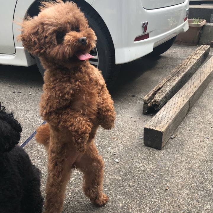 890b7649 7f6e 4b4e 8240 6f12474354e0 1588748905262