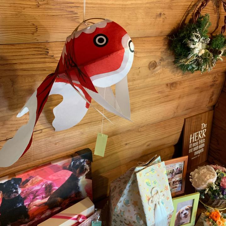 890b7736 4254 4119 8983 256712e27656 1624522112835