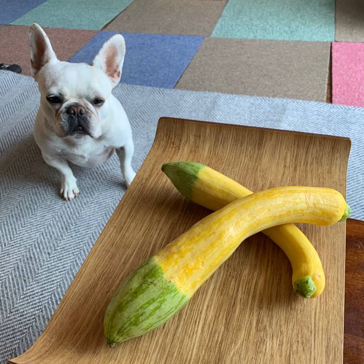 890b7fe9 faa1 4ee3 89f7 a24d000e90fc 1717454921838