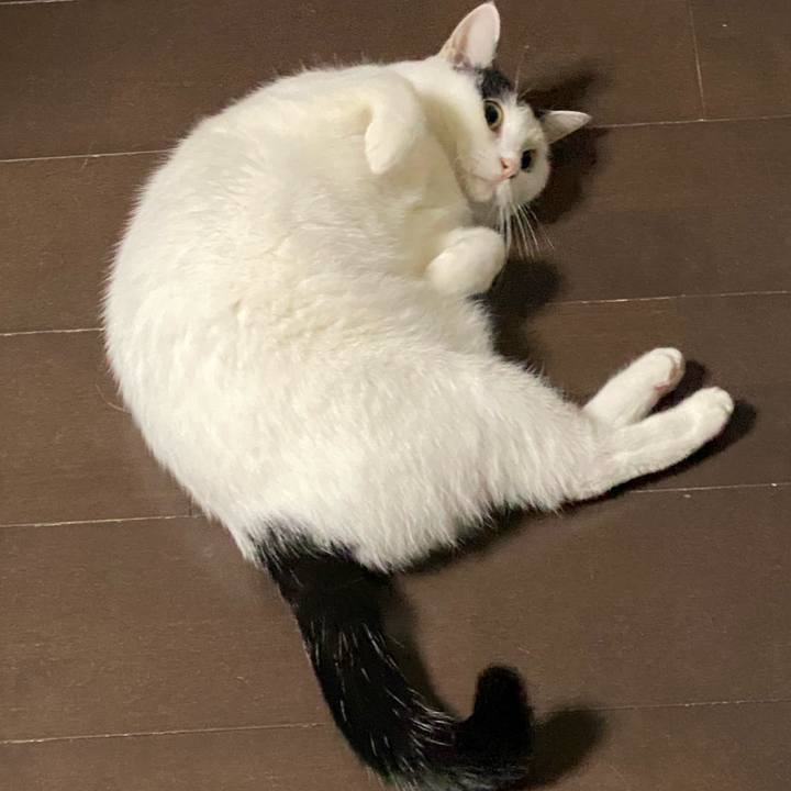 890b86e7 c4fe 4eb1 b5ed 000ab1ace009 1764624680635