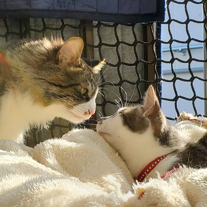 890be653 70ad 4d16 a8d0 baa8c0273b0c 1681618914167