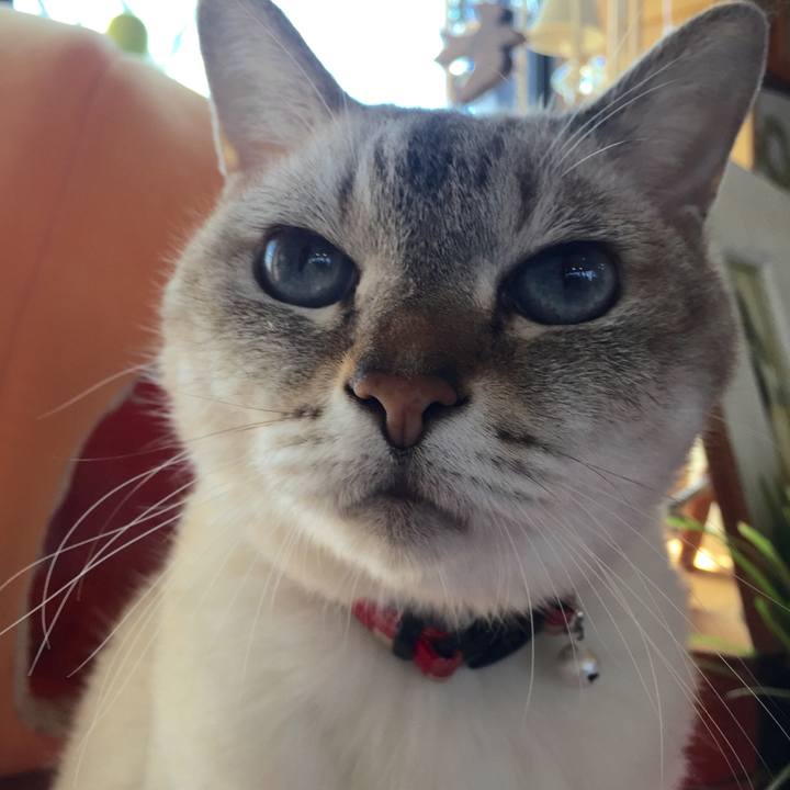 890bec28 7ce5 44f9 a247 70f0a063785b 1538109552794