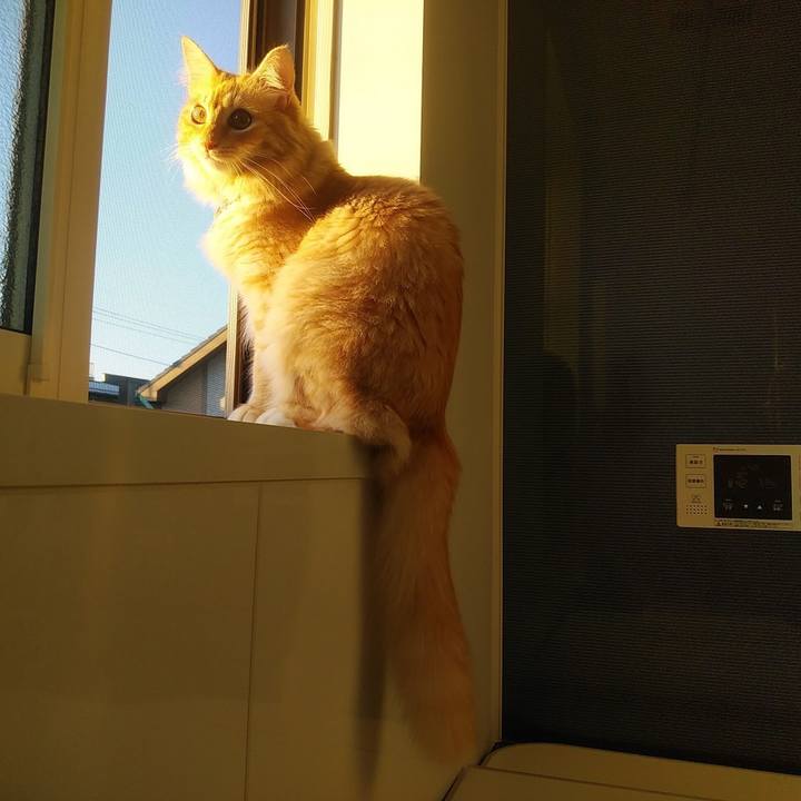 890bed4c 9450 46be 9f73 22eb4b74324b 1634211588950