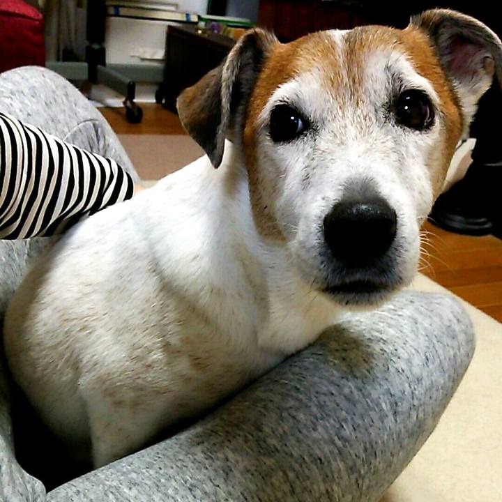 890c253c f59d 4ad5 9eca 0b24a1796de2 1512131877051