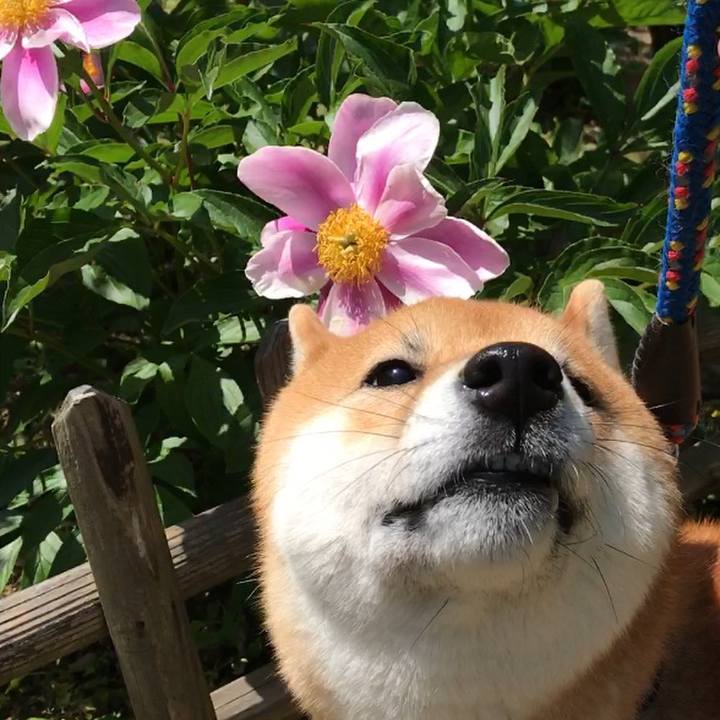 890c4215 7777 4aa1 a2d7 24f091c17c32 1511141973550