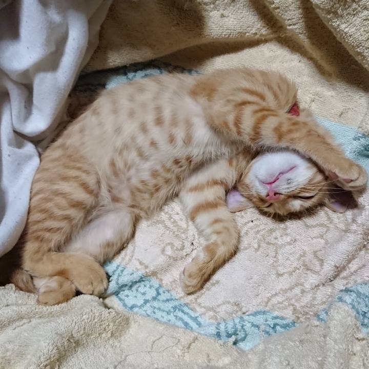 890c6da8 c5ef 4bdb 9604 efd86f7702fa 1631970800599