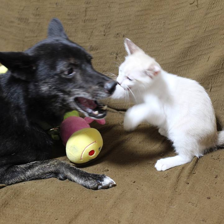 890cbfb6 ee05 45fc 8c9b e14480e77516 1600438125917