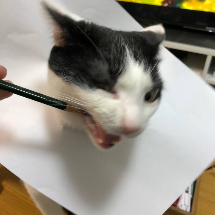 890ce8d1 fb6e 48fc 99d6 c9a5c6fe6f60 1523359881390