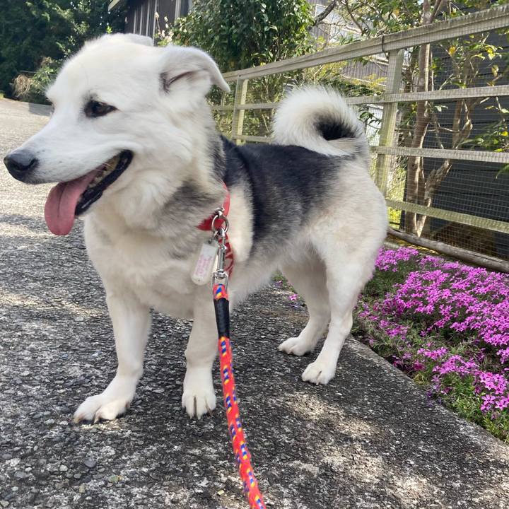 890cfa5d 9591 4798 bb6d 7647c8e2ccc9 1714572779621