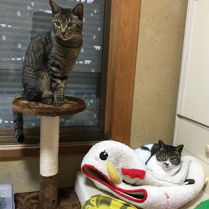 890d3b09 c9b1 4252 8f5b 72b327488b34 1520211194700