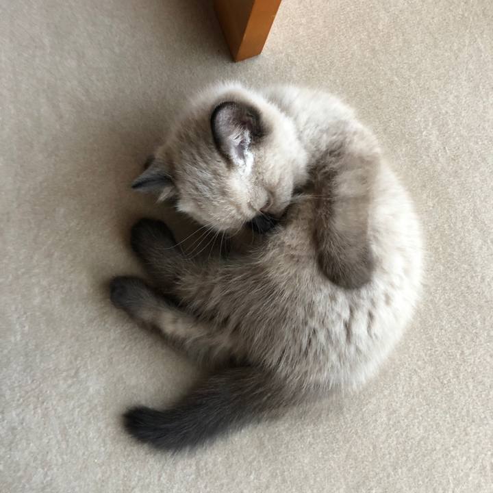 890d6eaf 32da 4b2d 9c6c 8826c8306613 1585961117988