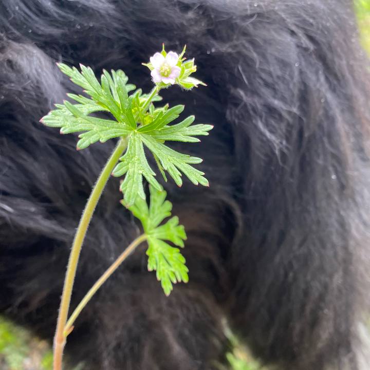 890d7db3 0ff3 4fae b5f9 ce762e382dff 1615857068899