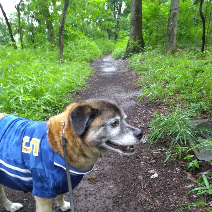 890d8ec8 fe89 4da0 babf 86ba9eab1425 1562889281785