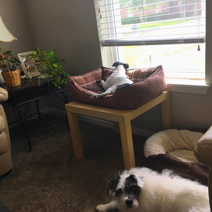 890d947d eae1 4d93 8b22 d45d4df123e2 1525990529928