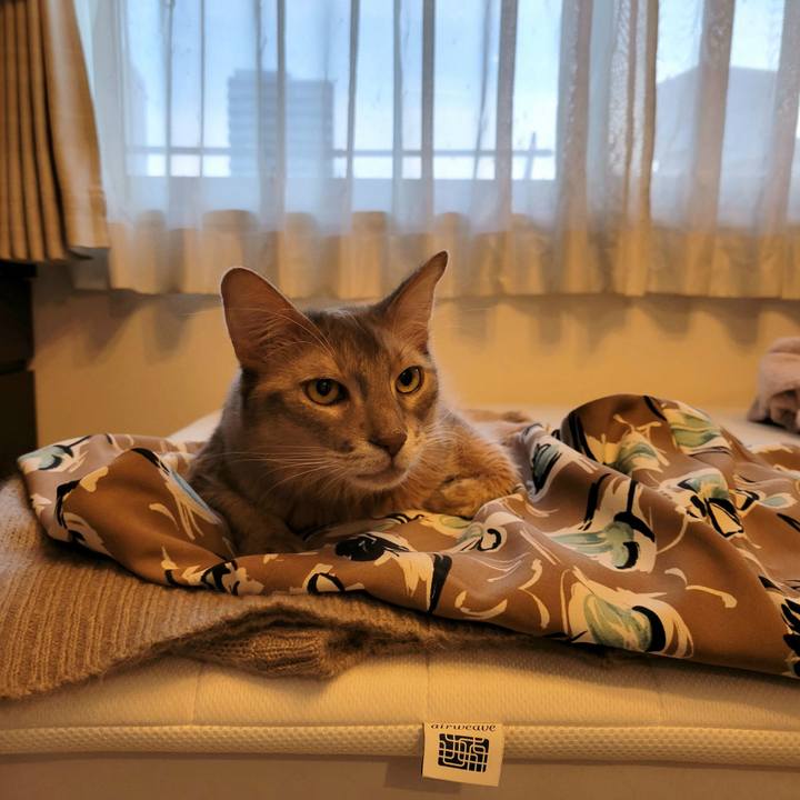 890da103 c660 426e a047 1b1fa97b763d 1636186002280