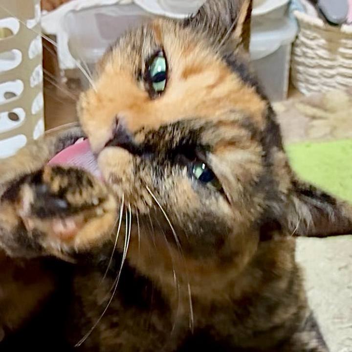 890da28f 60b2 4798 b9fe 805e1f6e695d 1758227104378