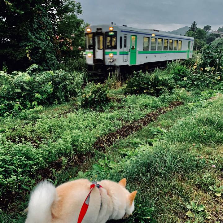 890dceb1 83fe 4261 b5a6 7dd9e3ceb9c7 1565296772553