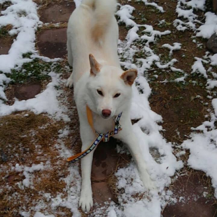 890df999 a076 41d6 a421 9c8ec889be9e 1516782191790