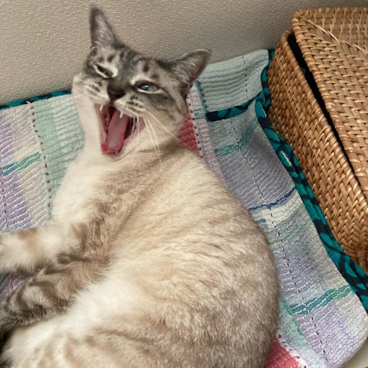 890dfa85 4a73 4dbd 9cbc 46700182f7c1 1686994113095