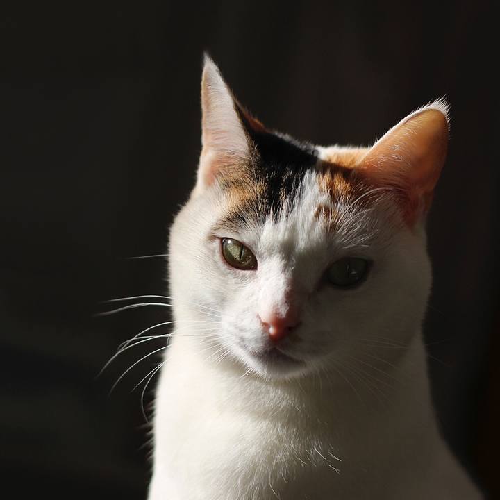 890e0f45 2cca 41ae ac58 672404627b30 1595390019351