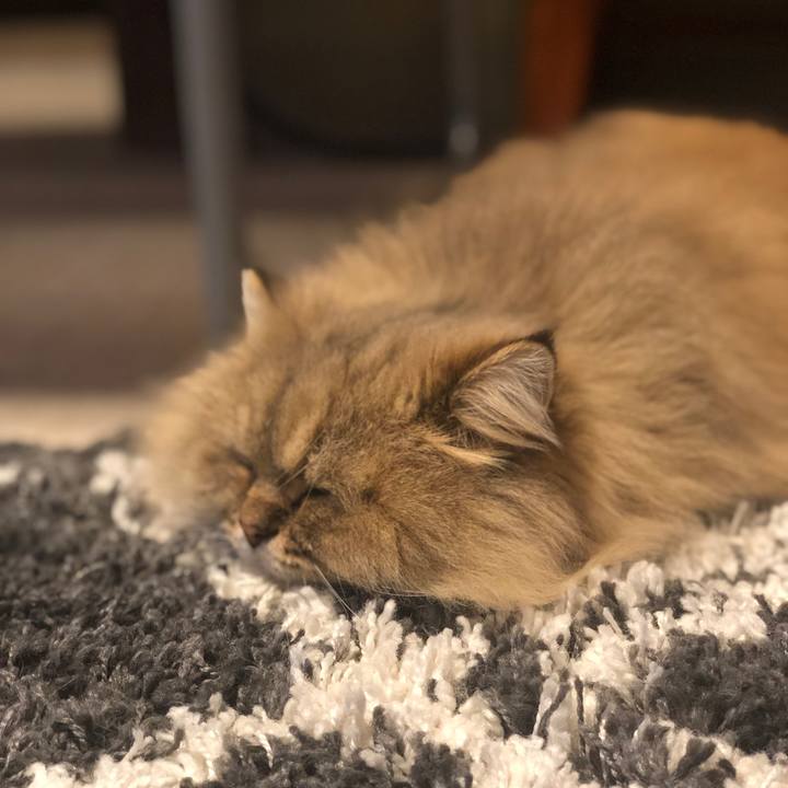 890e2f62 172a 4d75 a0e2 84206e15e9d1 1606005107702