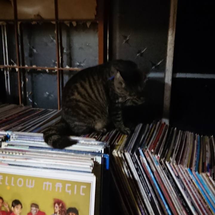 890e561c 4f7c 4f5a 9c6a 0712f39580d3 1656334037247