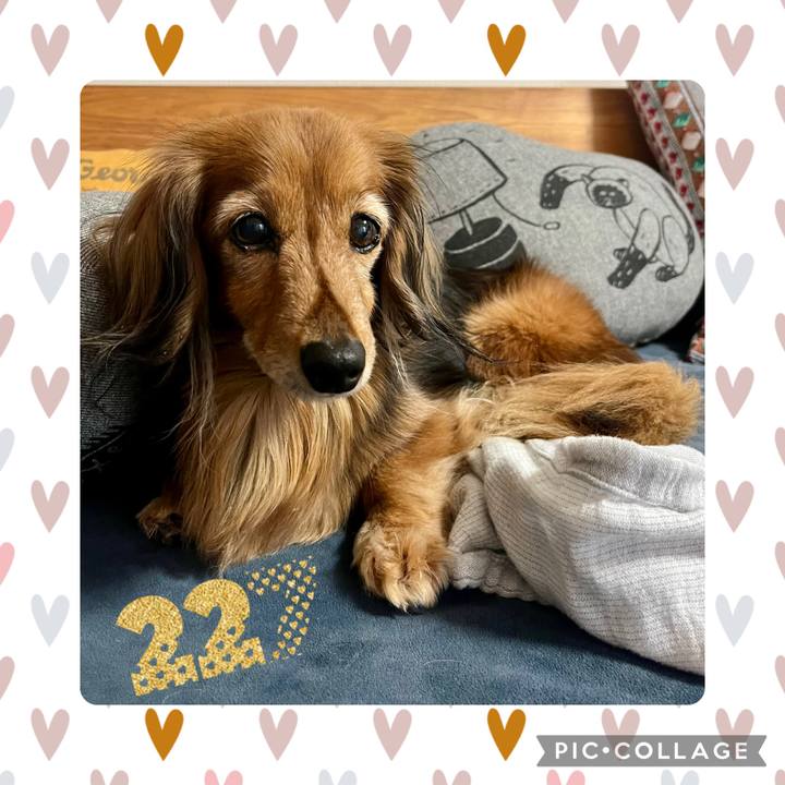 890eb8d6 c1f5 4d2a a76c 499d6e7c1f06 1772177333603