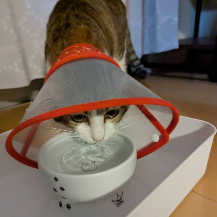 890ebe16 6550 46c9 bc06 d686b06169a4 1756705950041