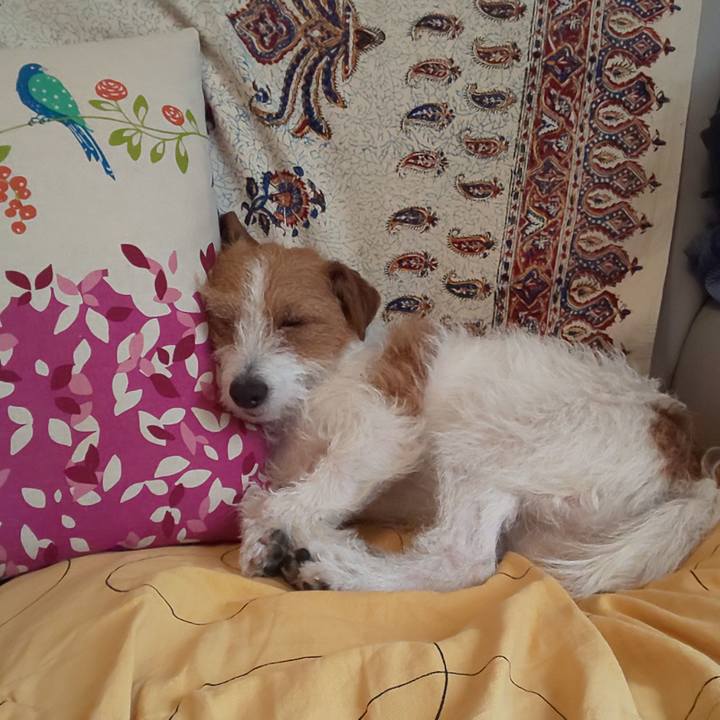 890ee698 6a1e 4863 a4d5 927efb3f6984 1613091792969