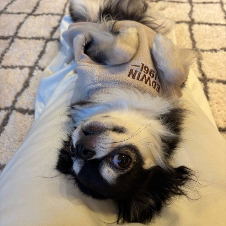 890ef314 d826 4f33 bf8b 6e41bf98ba08 1734278580407