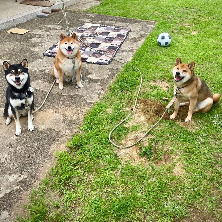 890f0bc7 f067 48be ad30 d646a1f0a735 1624810132169