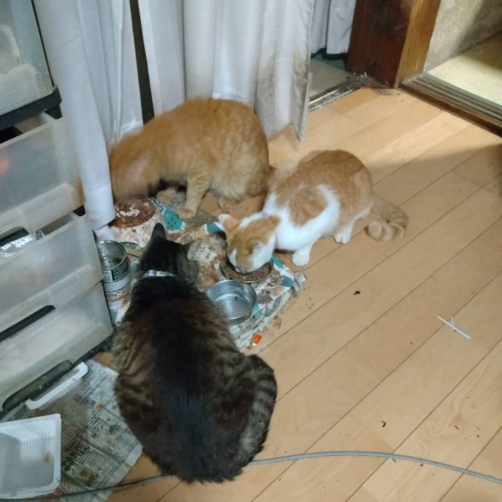 890f0be1 545c 4908 9225 ee25621bc49a 1754645460187