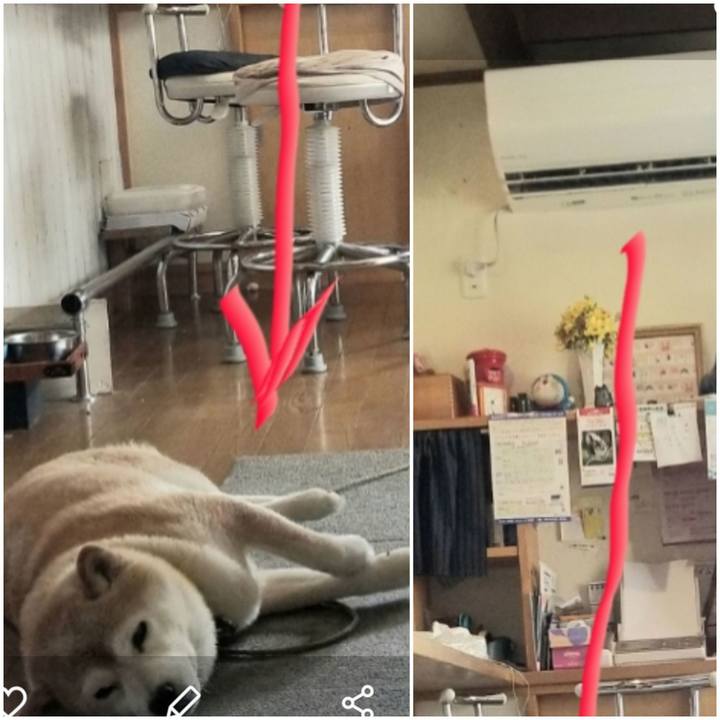 890f15f5 106c 4162 9e07 65163aa8f66b 1690514706871