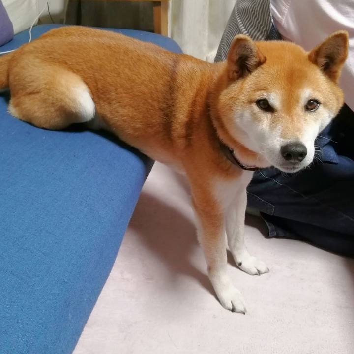 890f2a3d 6594 482d 9b16 bbd8cb42802a 1679577327375