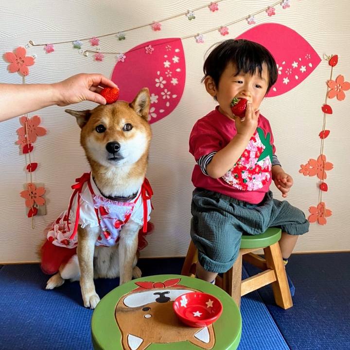 890f2c4b 8556 4ca8 bb2b 0d4f9b6aa7f5 1584536613222